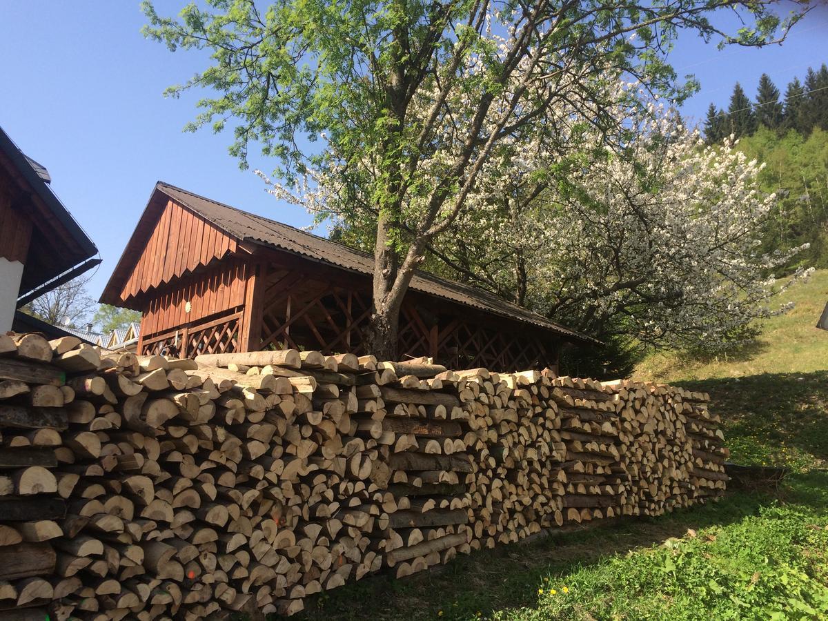 Penzion Eliška Petrikov  Esterno foto